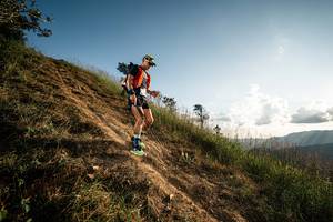 BIB: 
                            <button type="button" onclick="openModal(25768317)" class="btn btn-primary btn-sm float-right btn-popup" data-toggle="modal" data-target=".modal-high-quality">
                        <i class="fas fa-shopping-cart"></i> Add to Cart
                    </button>
                                            <button type="button" onclick="isThisMe(25768317, true)" class="btn btn-success btn-sm float-right btn-popup btn-isme hidden" data-toggle="tooltip" data-placement="bottom" title="นี่คือรูปของคุณใช่ไหม คลิกที่นี่เพื่อเอาเข้าอัลบั้ม">
                        <i class="fas fa-plus"></i> Add to album
                    </button>
                    <button type="button" onclick="isThisMe(25768317, false)" class="btn btn-warning btn-sm float-right btn-popup btn-isnotme hidden">
                        <i class="fas fa-ban"></i> Remove from album
                    </button>